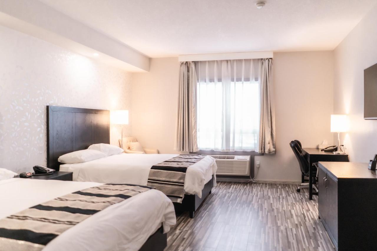 Stars Inn ليدوك المظهر الخارجي الصورة