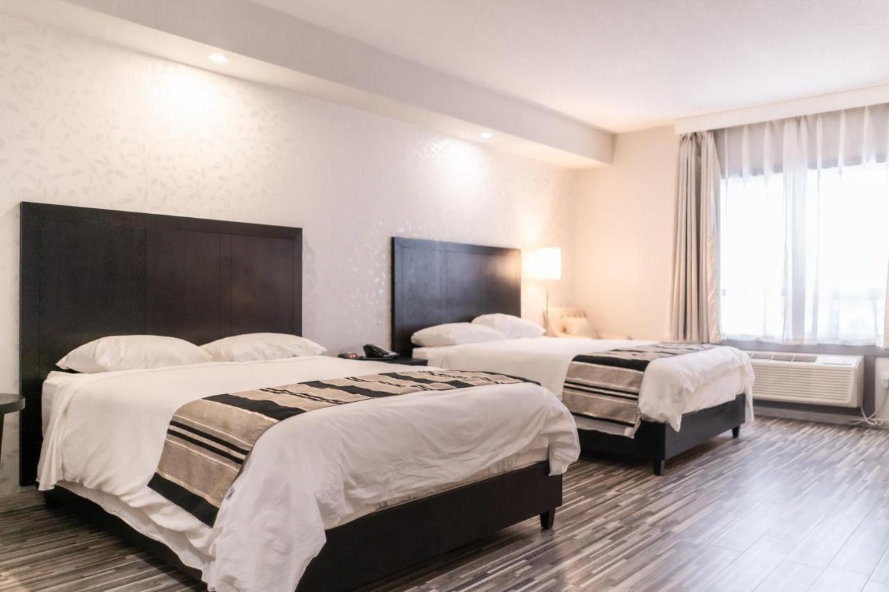 Stars Inn ليدوك المظهر الخارجي الصورة